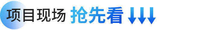 項目現(xiàn)場搶先看